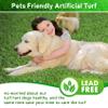 XLX TURF Artificial Grass for Dogs, Puppy Potty Training Pad, 5 x 8 ft view 3