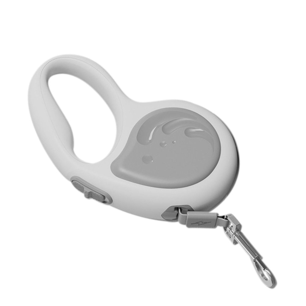 Retractable Leash for Small Dogs