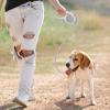 Retractable Leash for Small Dogs view 2