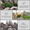 AquaOne Mini Landscape Stones I Seiryu Natural Stones I Aquascaping Rock I Pagoda Background Decoration I Gray (100-500g) view 3