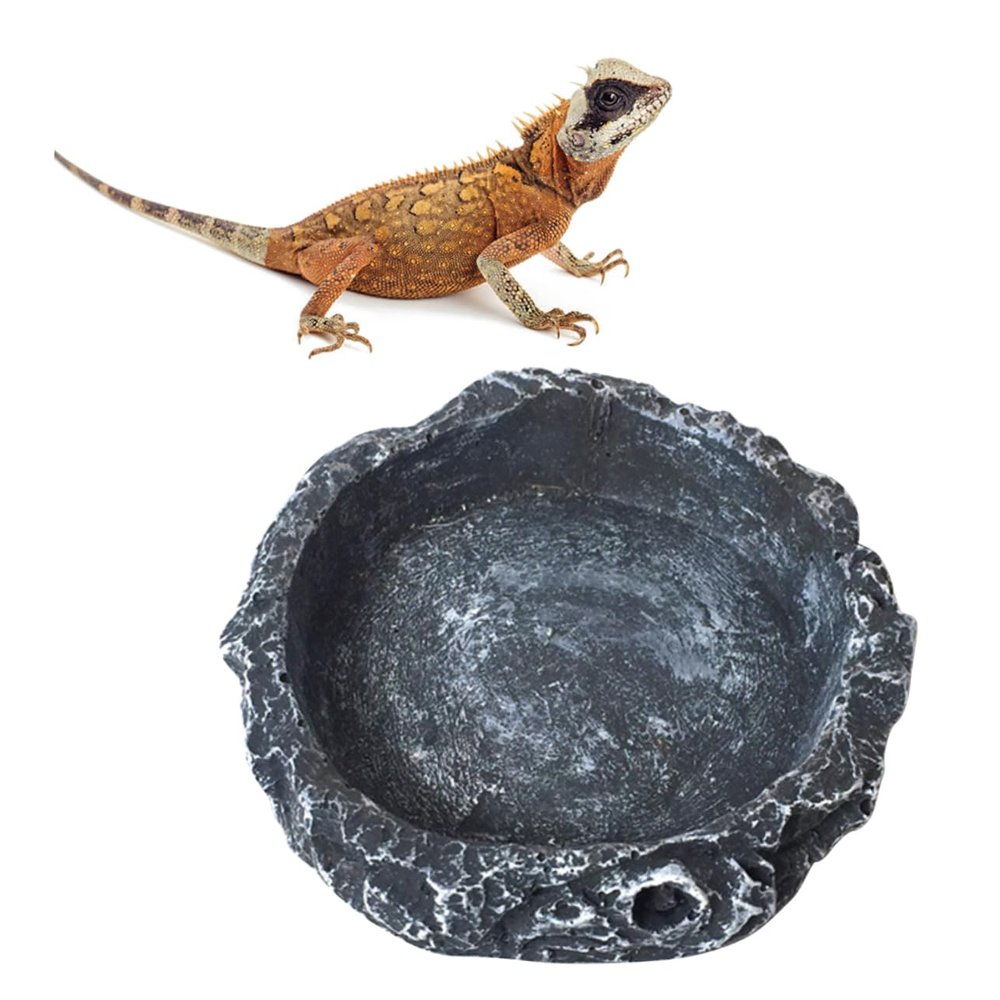 Sosoport Reptile Food and Water Bowl Set