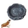 Sosoport Reptile Food and Water Bowl Set view 4
