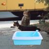 BESPORTBLE Pet Cat Litter Box with Scoop, Semi-Enclosed view 4