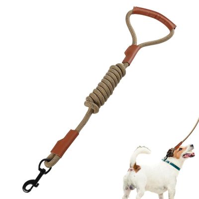 Tewzafiya Dog Leash