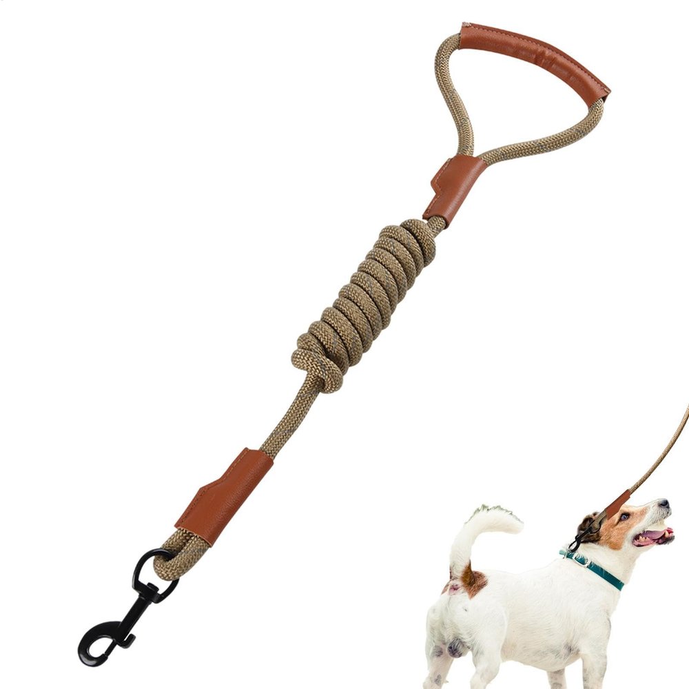 Tewzafiya Dog Leash