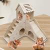 Hamster Houses and Small Animal Hideouts, Multi-Purpose Chinchilla House view 3
