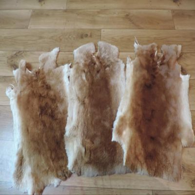 Provellus Premium Rex Rabbit Fur Pelt, Yellow with Imperfections