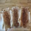 Provellus Premium Rex Rabbit Fur Pelt, Yellow with Imperfections view 1