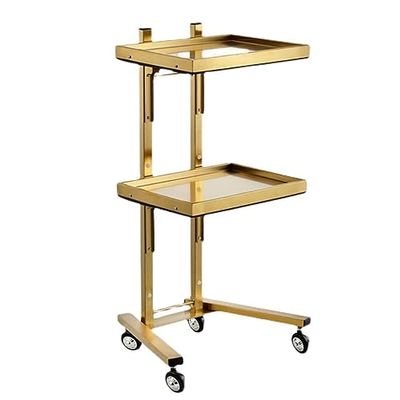 Generic Stainless Steel Salon Trolley with 2 Tiers and Wheels, Gold, 40 x 33 x 88 cm
