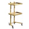 Generic Stainless Steel Salon Trolley with 2 Tiers and Wheels, Gold, 40 x 33 x 88 cm view 1