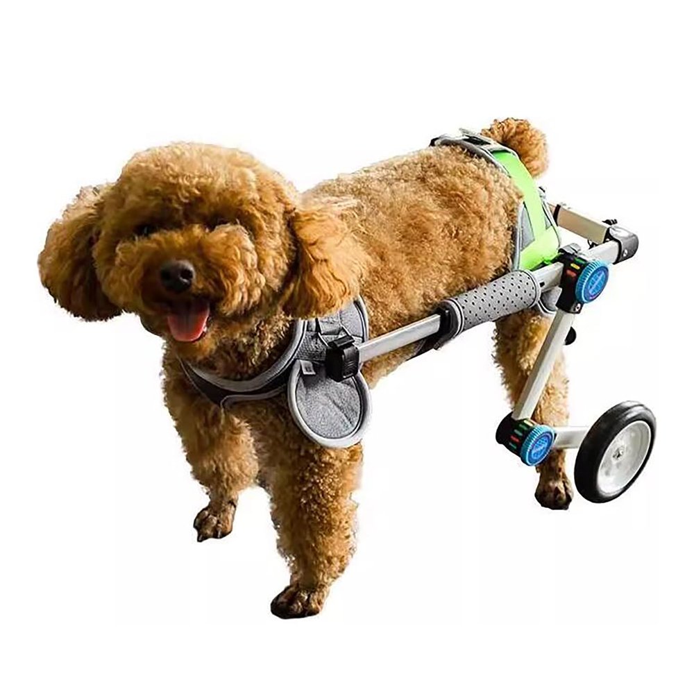 Adjustable Dog Wheelchair, 2-Wheel Mobility Aid for Injured or Disabled Hind Legs, Foldable, Hip Support, Large