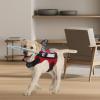 Halo Blind Dog Harness Guide Device | Anti-Collision Ring for Dogs view 2