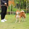 Reflective Adjustable Dog Leash for Large Dogs view 2