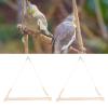 2-Piece Triangle Bird Swing Toy view 2
