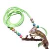 Bearded Dragon Harness and Leash view 1