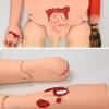FLNOZAMZ Multifunctional Female Patient Care Simulator view 4