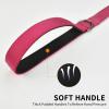 AUDWUD Soft Padded Grip Dog Leash view 2