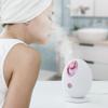 InnovaGoods Kombucha Facial Care Set with Electric Facial Sauna view 3