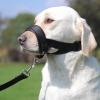 Medium Dog Muzzle for Barking, Biting and Chewing view 2