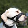 Medium Dog Muzzle for Barking, Biting and Chewing view 3