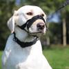 Adjustable Dog Muzzle view 3