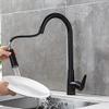SJHDHDA Single-Handle Kitchen Sink Faucet, Brushed Gold and Black, 360° Swivel (Nero) view 1