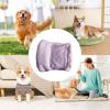 Dog Diapers for Cats, Female Dog Diapers for Urination - Breathable Dog Diapers view 4