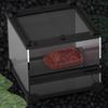 Reptile Water Bowl - Turtle Water Dish view 3