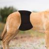 Dog Diapers for Female Dogs view 3