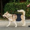 Dog Diapers for Small and Medium Dogs, Breathable, Leakproof, Washable, Quick-Drying view 2