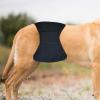 Dog Diapers for Small and Medium Dogs, Breathable, Leakproof, Washable, Quick-Drying view 3