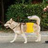 Washable Dog Diapers for Medium Dogs view 2