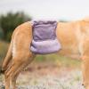 Dog Diapers for Female Dogs - Breathable and Quick-Drying view 3