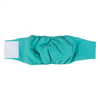 Dog Diapers for Female Dogs