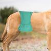 Dog Diapers for Female Dogs view 3