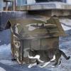 Weatherproof Cat House view 3