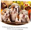 HAPINARY Puppy Wig for Dogs, Easy to Wear, Gold, K Silk view 4