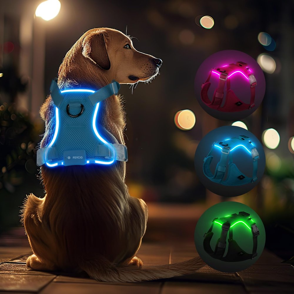 Feycig LED Dog Harness for Large Dogs - Rechargeable Adjustable Reflective Harness