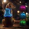 Feycig LED Dog Harness for Large Dogs - Rechargeable Adjustable Reflective Harness view 1