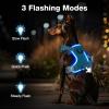 Feycig LED Dog Harness for Large Dogs - Rechargeable Adjustable Reflective Harness view 2