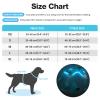 Feycig LED Dog Harness for Large Dogs - Rechargeable Adjustable Reflective Harness view 3