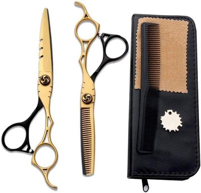 DLAZUM Professional Hairdressing Scissors, Thinning Shears Set, 440C, 6-Inch