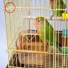 Large Retro Bird Cage/Carrier, Gold view 2