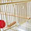 Large Retro Bird Cage/Carrier, Gold view 4