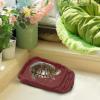 Reptile Water Bowl with Anti-Slip Ladder view 2