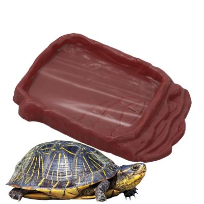 Reptile Water Bowl with Anti-Slip Ladder