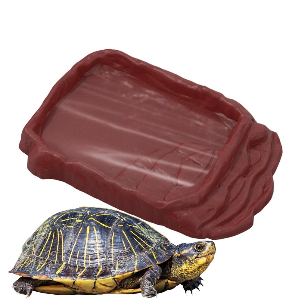 Reptile Water Bowl with Anti-Slip Ladder