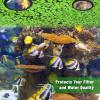 Floating Plant Rings for Aquariums view 4