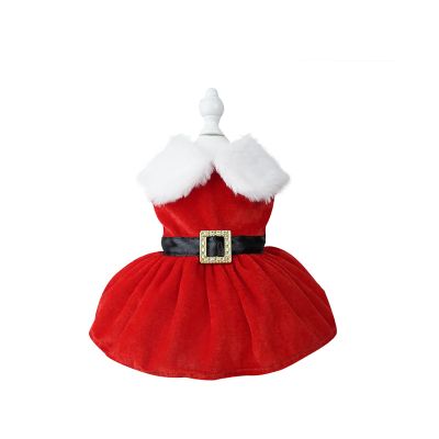 BT Bear Christmas Costume for Dogs
