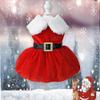 BT Bear Christmas Costume for Dogs view 2